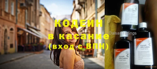 прущие грибы Балабаново