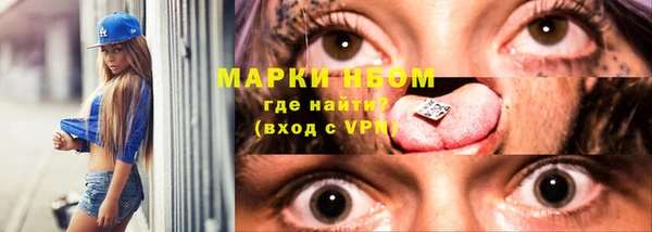 прущие грибы Балабаново