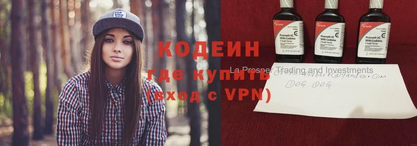 прущие грибы Балабаново