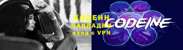 прущие грибы Балабаново