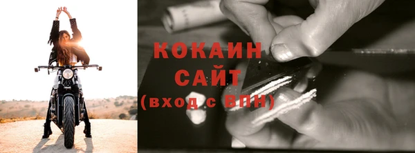 прущие грибы Балабаново