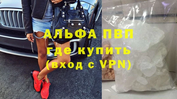 прущие грибы Балабаново