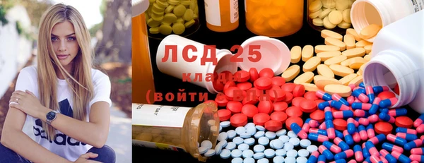 прущие грибы Балабаново