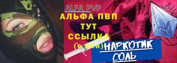 сатива Баксан