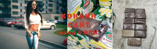 сатива Баксан