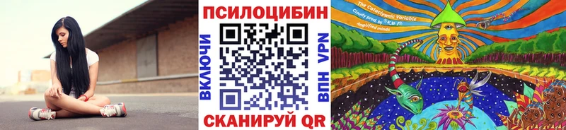 купить закладку  Заречный  Псилоцибиновые грибы мицелий 