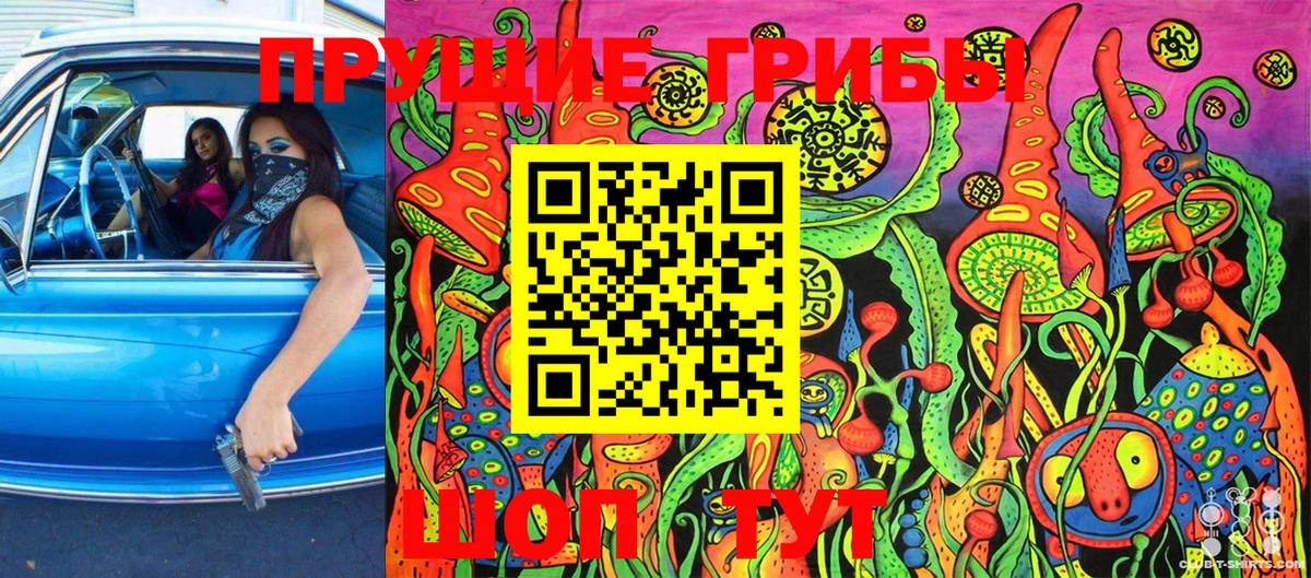 Псилоцибиновые грибы мухоморы  Вход с VPN  Заречный 