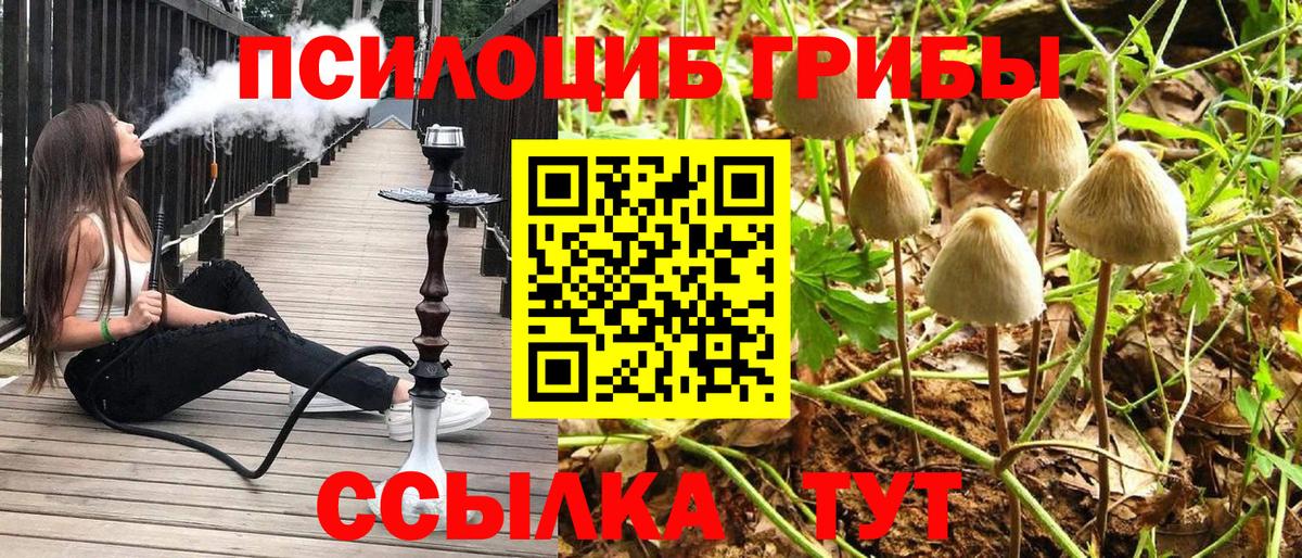 Псилоцибиновые грибы ЛСД  Заречный 