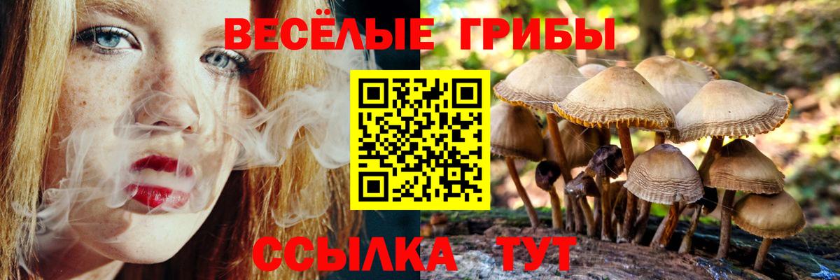 Псилоцибиновые грибы Psilocybine cubensis Заречный